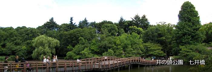 井の頭公園 七井橋